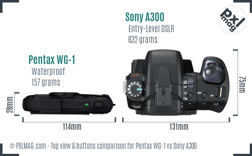 Pentax WG-1 vs Sony A300 top view buttons comparison