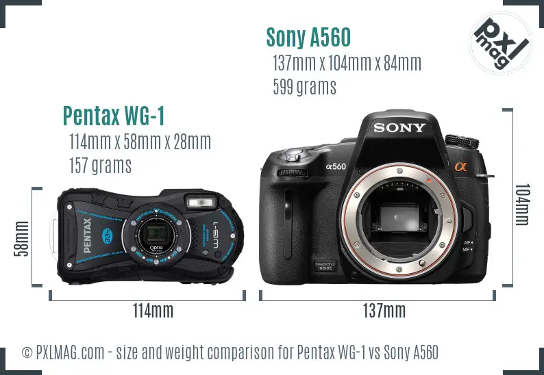 Pentax WG-1 vs Sony A560 size comparison
