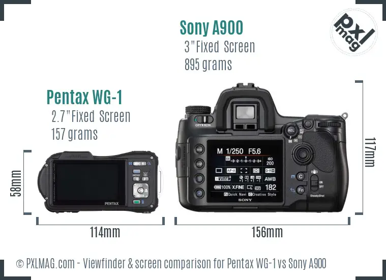 Pentax WG-1 vs Sony A900 Screen and Viewfinder comparison