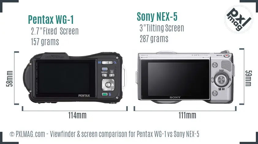 Pentax WG-1 vs Sony NEX-5 Screen and Viewfinder comparison