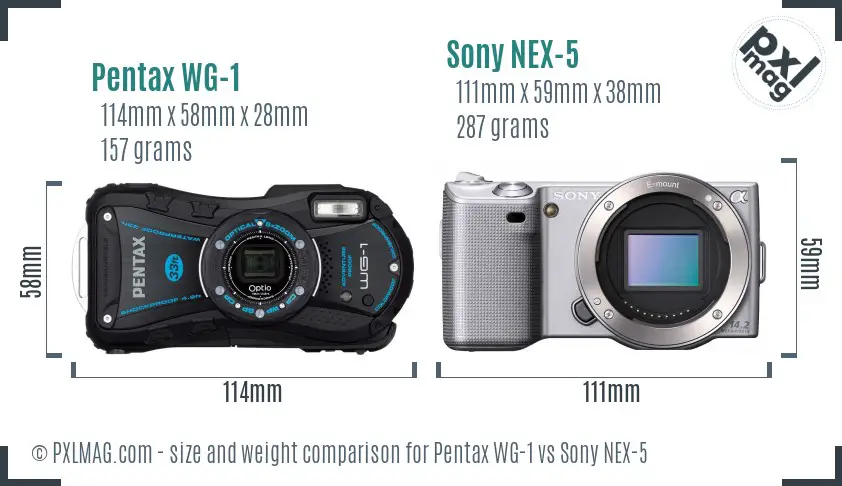 Pentax WG-1 vs Sony NEX-5 size comparison