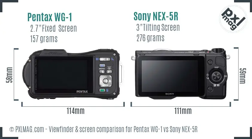 Pentax WG-1 vs Sony NEX-5R Screen and Viewfinder comparison