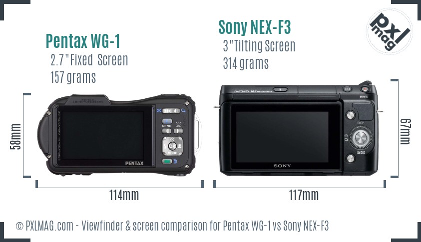 Pentax WG-1 vs Sony NEX-F3 Screen and Viewfinder comparison