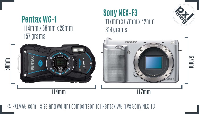 Pentax WG-1 vs Sony NEX-F3 size comparison Pentax WG-1 vs Sony NEX-F3 size comparison