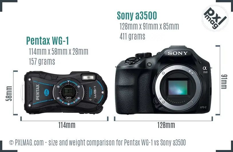 Pentax WG-1 vs Sony a3500 size comparison