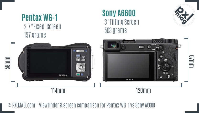 Pentax WG-1 vs Sony A6600 Screen and Viewfinder comparison
