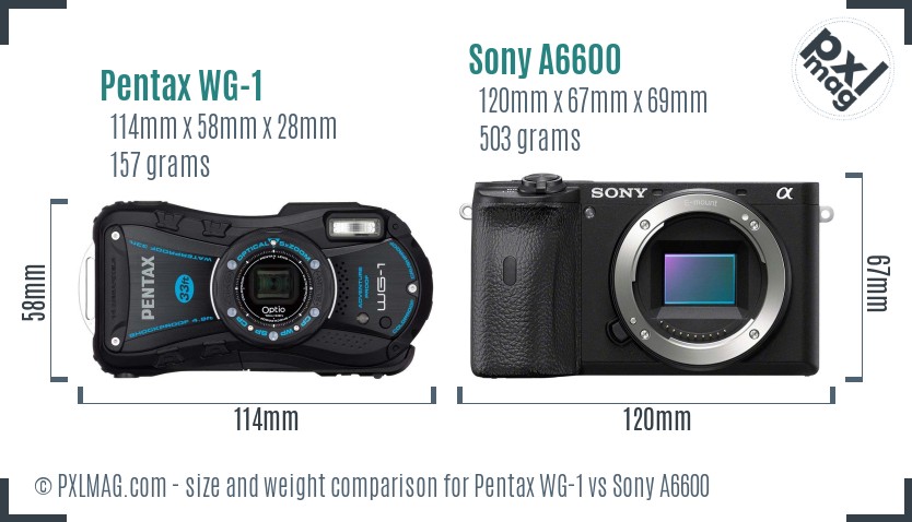 Pentax WG-1 vs Sony A6600 size comparison