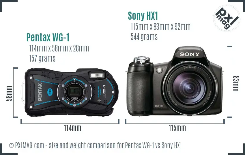 Pentax WG-1 vs Sony HX1 size comparison