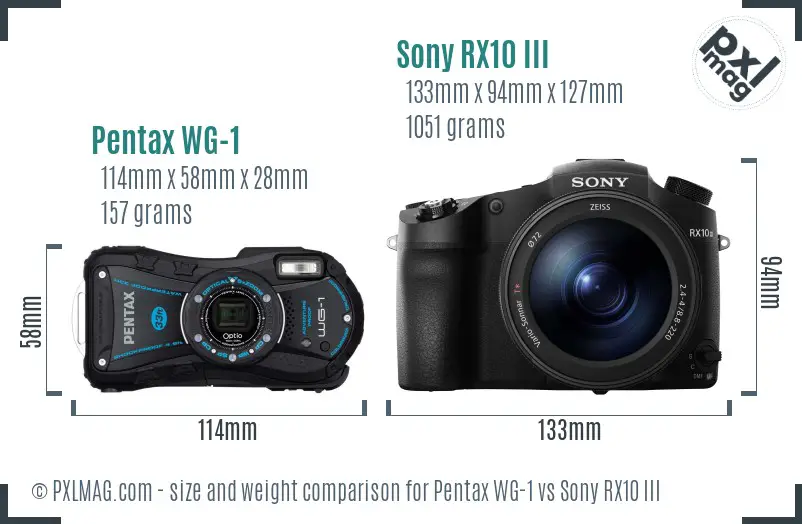 Pentax WG-1 vs Sony RX10 III size comparison