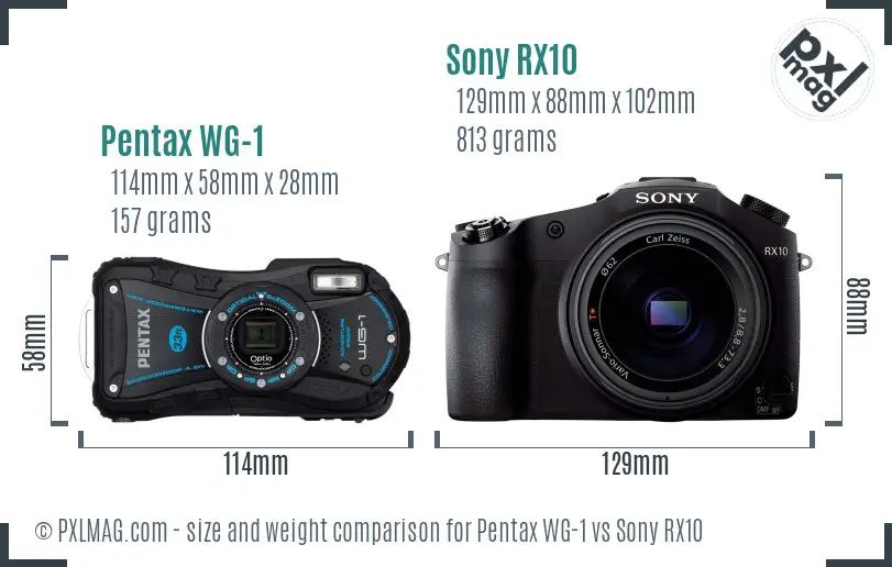 Pentax WG-1 vs Sony RX10 size comparison
