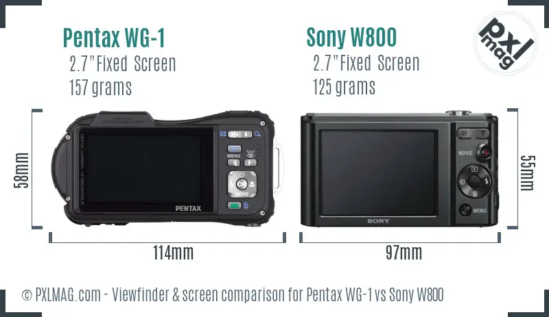 Pentax WG-1 vs Sony W800 Screen and Viewfinder comparison