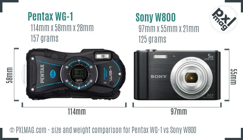 Pentax WG-1 vs Sony W800 size comparison