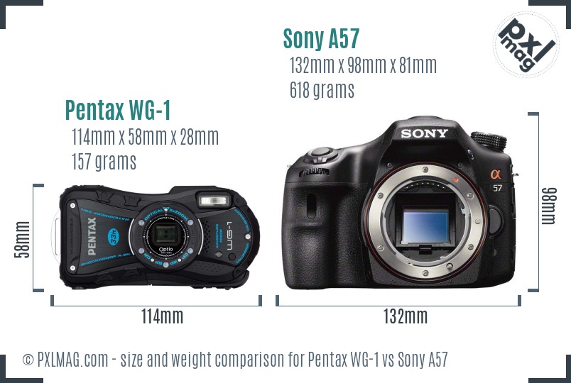 Pentax WG-1 vs Sony A57 size comparison Pentax WG-1 vs Sony A57 size comparison