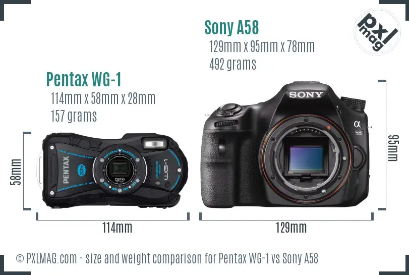 Pentax WG-1 vs Sony A58 size comparison Pentax WG-1 vs Sony A58 size comparison