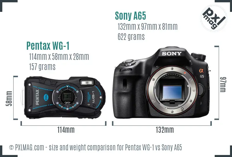 Pentax WG-1 vs Sony A65 size comparison Pentax WG-1 vs Sony A65 size comparison