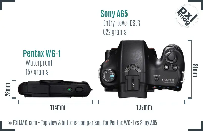 Pentax WG-1 vs Sony A65 top view buttons comparison Pentax WG-1 vs Sony A65 top view buttons comparison