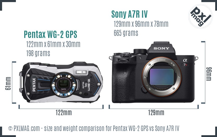 Pentax WG-2 GPS vs Sony A7R IV size comparison Pentax WG-2 GPS vs Sony A7R IV size comparison
