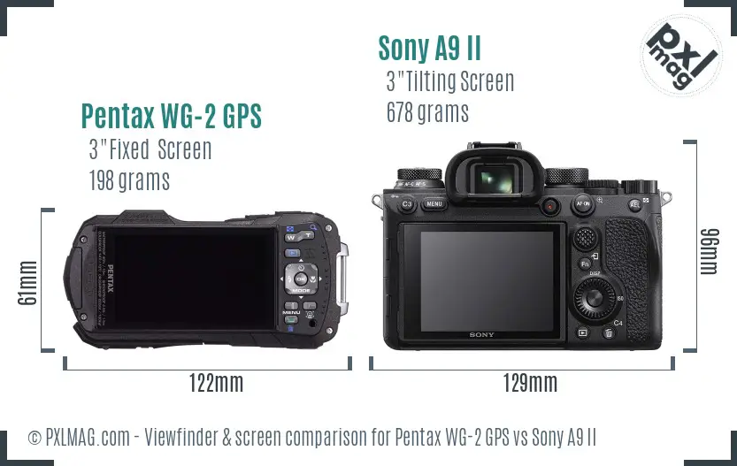 Pentax WG-2 GPS vs Sony A9 II Screen and Viewfinder comparison Pentax WG-2 GPS vs Sony A9 II Screen and Viewfinder comparison