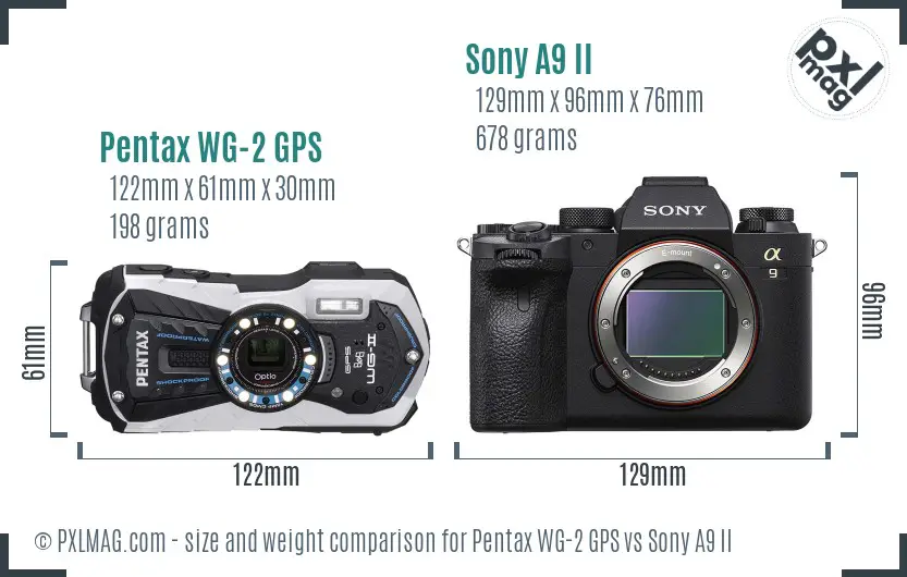 Pentax WG-2 GPS vs Sony A9 II size comparison Pentax WG-2 GPS vs Sony A9 II size comparison