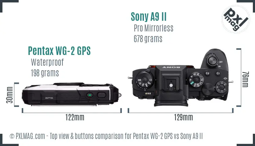 Pentax WG-2 GPS vs Sony A9 II top view buttons comparison Pentax WG-2 GPS vs Sony A9 II top view buttons comparison