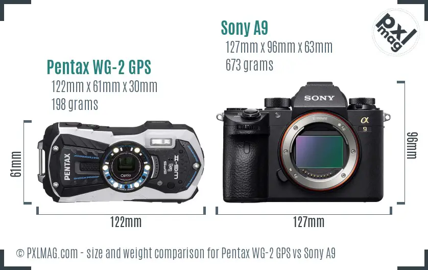 Physical size and ergonomics comparison