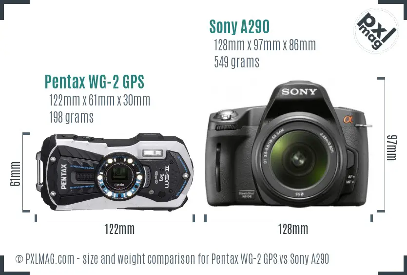 Pentax WG-2 GPS vs Sony A290 size comparison