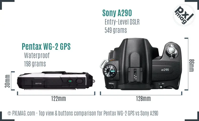 Pentax WG-2 GPS vs Sony A290 top view buttons comparison