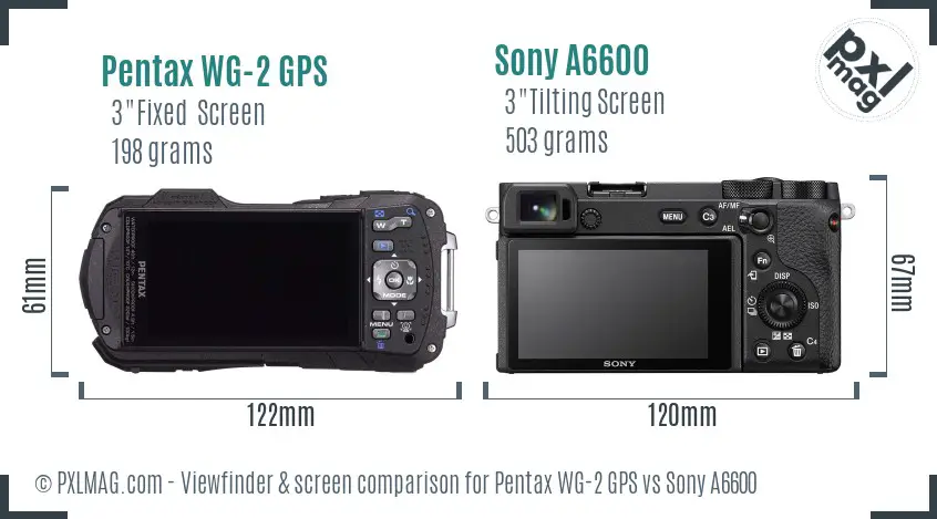 Pentax WG-2 GPS vs Sony A6600 Screen and Viewfinder comparison