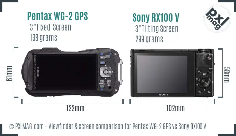 Pentax WG-2 GPS vs Sony RX100 V Screen and Viewfinder comparison