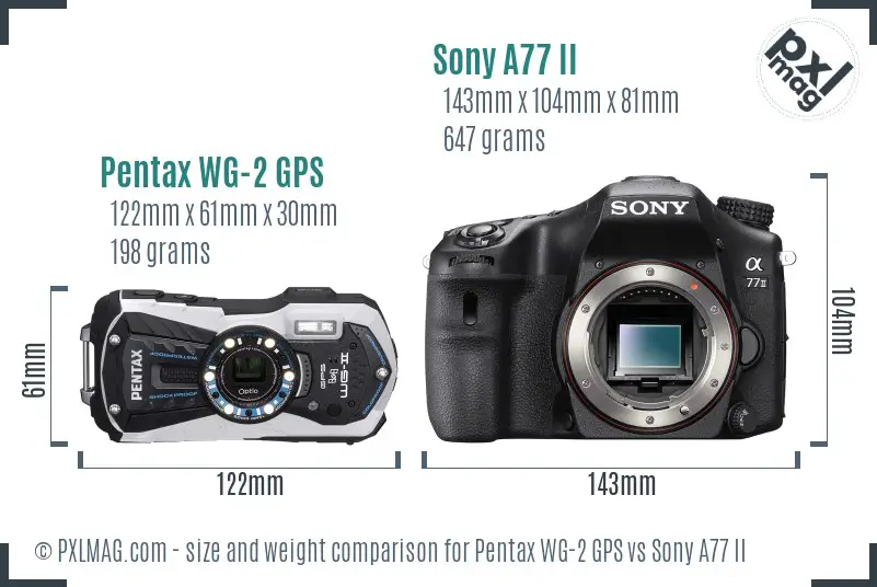 Pentax WG-2 GPS vs Sony A77 II size comparison Pentax WG-2 GPS vs Sony A77 II size comparison