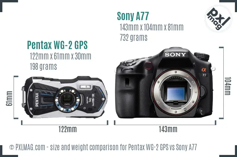Pentax WG-2 GPS vs Sony A77 size comparison