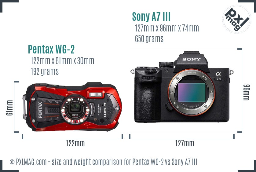 Pentax WG-2 vs Sony A7 III size comparison
