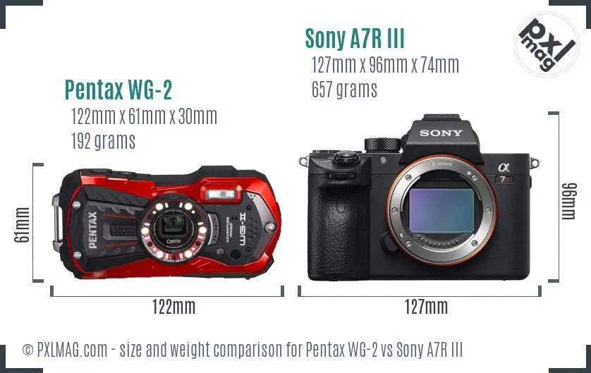 Pentax WG-2 vs Sony A7R III size comparison