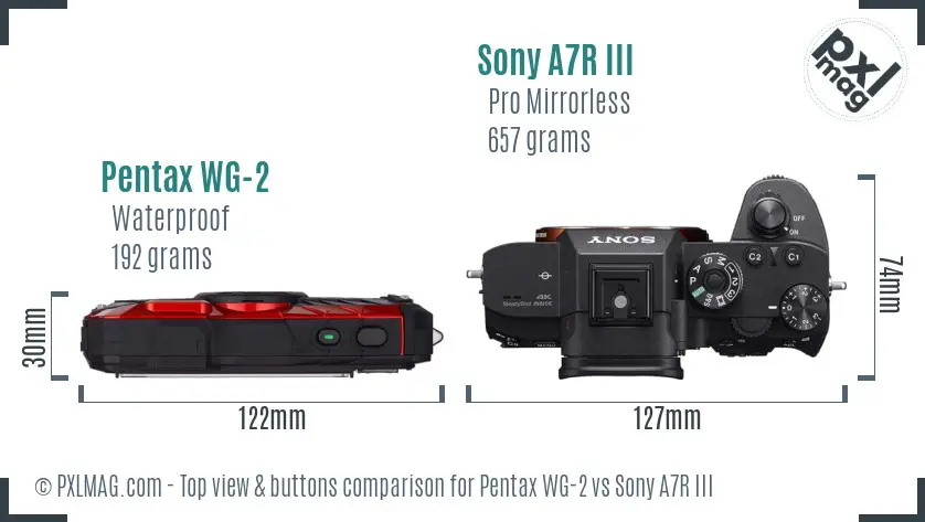 Pentax WG-2 vs Sony A7R III top view buttons comparison