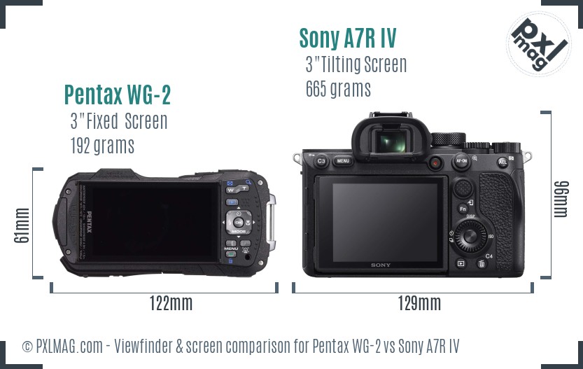 Pentax WG-2 vs Sony A7R IV Screen and Viewfinder comparison