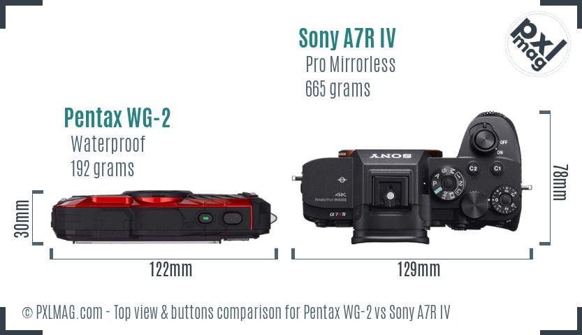 Pentax WG-2 vs Sony A7R IV top view buttons comparison