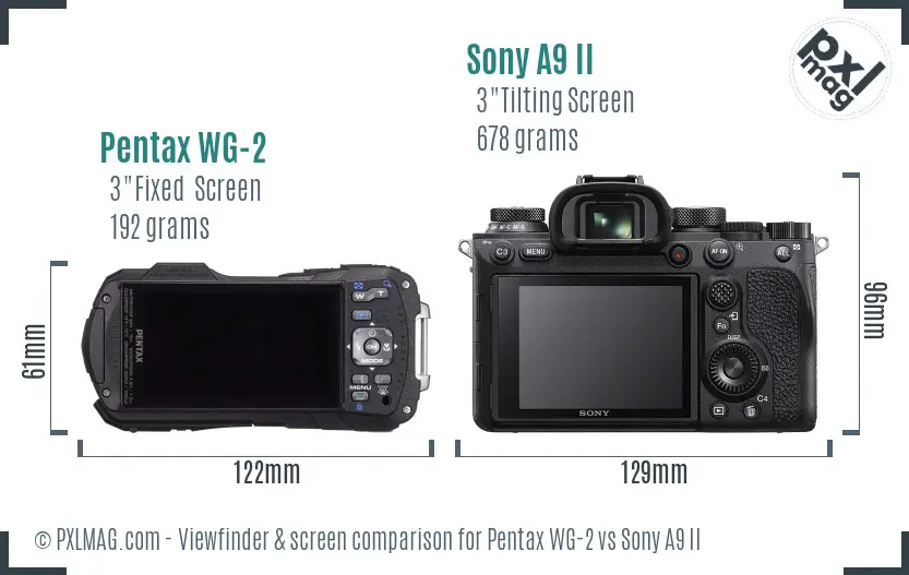 Pentax WG-2 vs Sony A9 II Screen and Viewfinder comparison