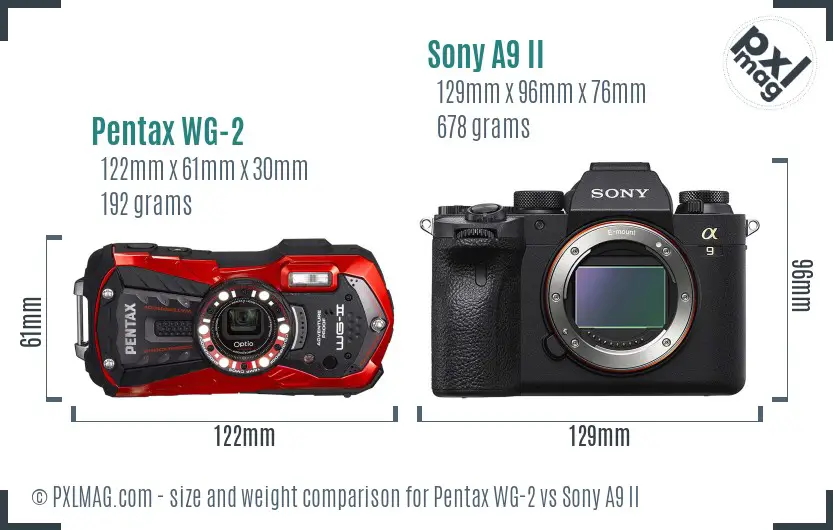 Pentax WG-2 vs Sony A9 II size comparison