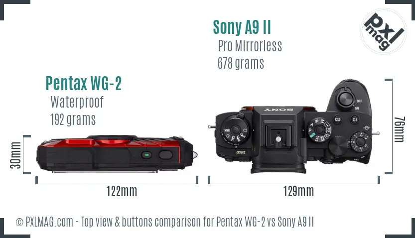 Pentax WG-2 vs Sony A9 II top view buttons comparison