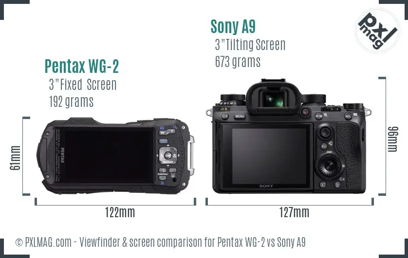 Pentax WG-2 vs Sony A9 Screen and Viewfinder comparison