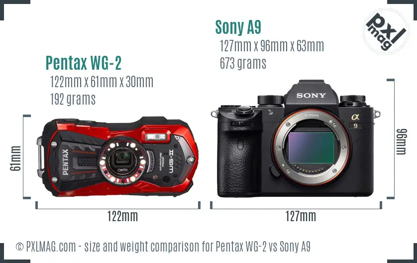 Pentax WG-2 vs Sony A9 size comparison