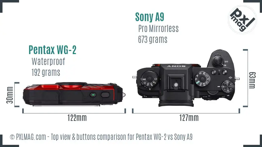 Pentax WG-2 vs Sony A9 top view buttons comparison
