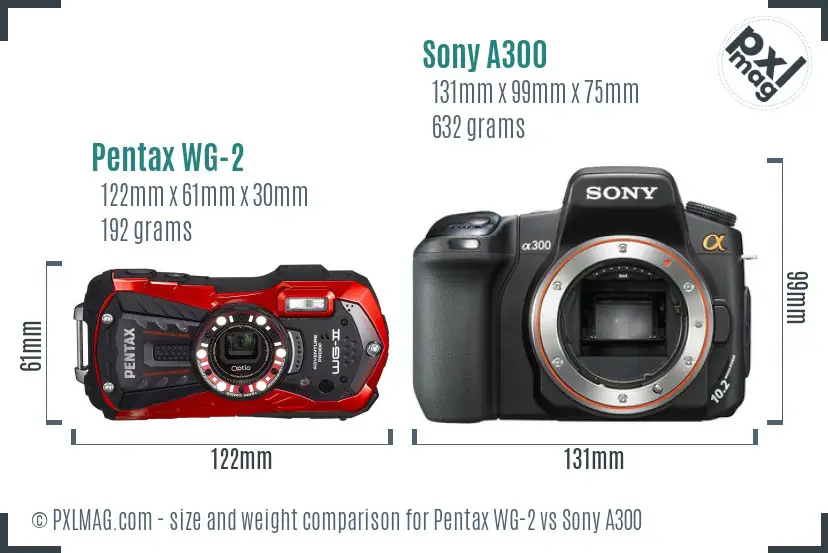 Pentax WG-2 vs Sony A300 size comparison