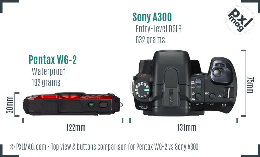 Pentax WG-2 vs Sony A300 top view buttons comparison
