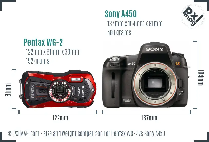 Pentax WG-2 vs Sony A450 size comparison