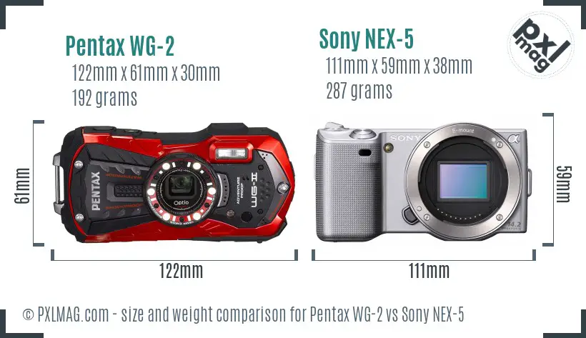 Pentax WG-2 vs Sony NEX-5 size comparison