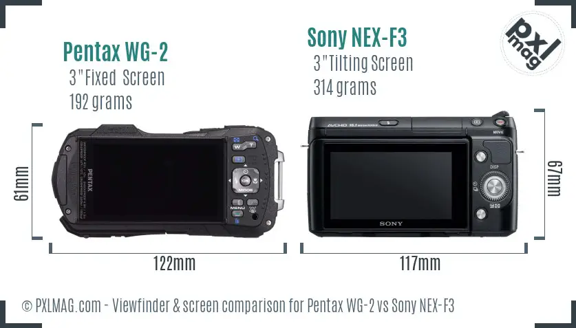 Pentax WG-2 vs Sony NEX-F3 Screen and Viewfinder comparison