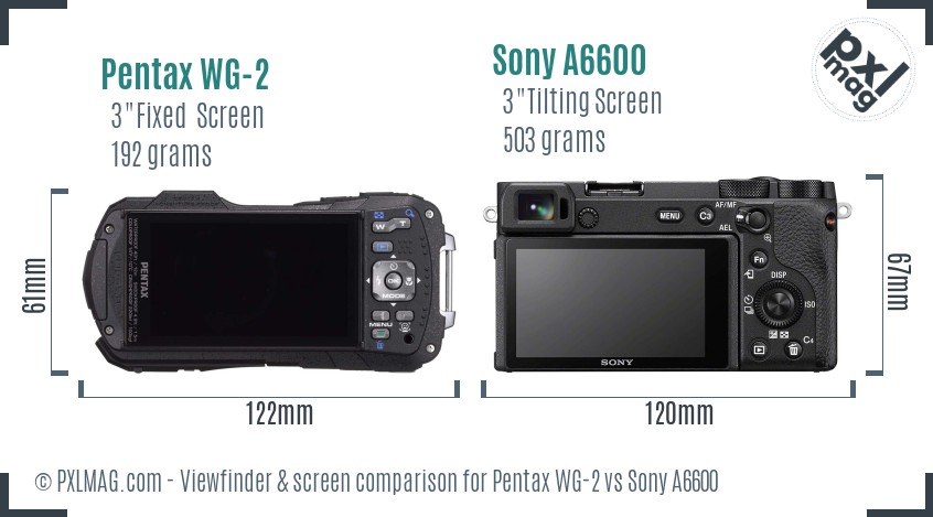Pentax WG-2 vs Sony A6600 Screen and Viewfinder comparison