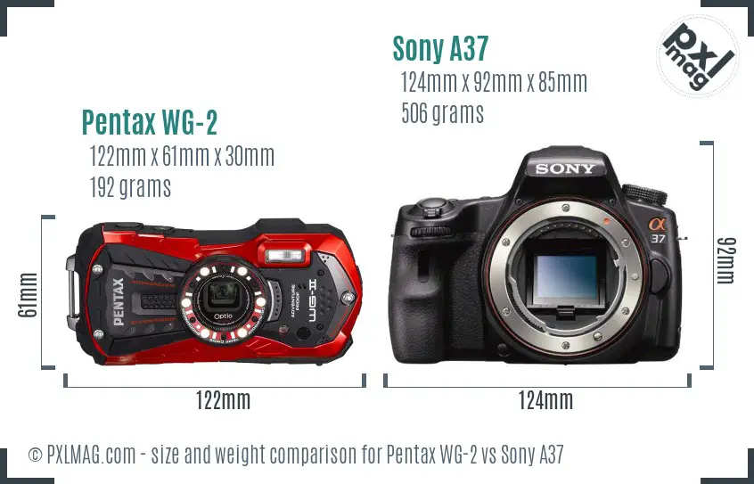 Pentax WG-2 vs Sony A37 size comparison Pentax WG-2 vs Sony A37 size comparison