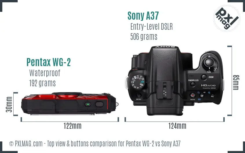 Pentax WG-2 vs Sony A37 top view buttons comparison Pentax WG-2 vs Sony A37 top view buttons comparison